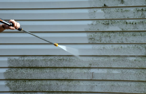 Best Pressure Washing Services Near Me  in Girard, IL