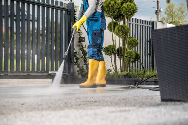 Best Exterior Home Cleaning  in Girard, IL