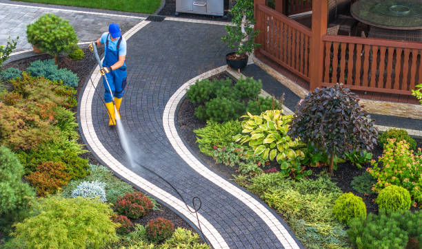 Best Fence Pressure Washing  in Girard, IL